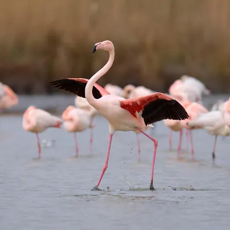 Les Rives Du Lac-8 By Interhome *